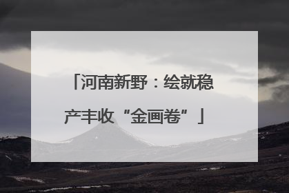河南新野：绘就稳产丰收“金画卷”