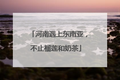 河南遇上东南亚，不止榴莲和奶茶