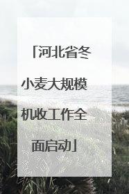 河北省冬小麦大规模机收工作全面启动