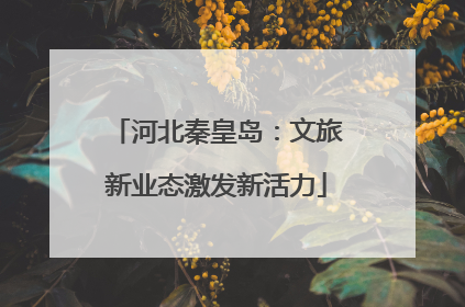 河北秦皇岛：文旅新业态激发新活力