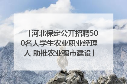 河北保定公开招聘500名大学生农业职业经理人 助推农业强市建设