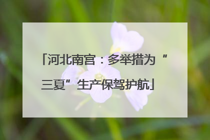 河北南宫：多举措为“三夏”生产保驾护航