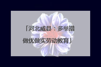 河北威县：多举措做优做实劳动教育