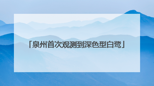 泉州首次观测到深色型白鹭
