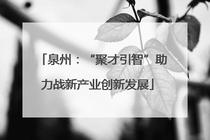 泉州：“聚才引智”助力战新产业创新发展