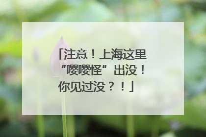 注意！上海这里“嘤嘤怪”出没！你见过没？！