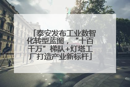 泰安发布工业数智化转型蓝图，“十百千万”梯队+灯塔工厂打造产业新标杆