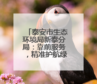 泰安市生态环境局新泰分局：靠前服务，精准护航绿色生产