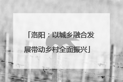 洛阳：以城乡融合发展带动乡村全面振兴