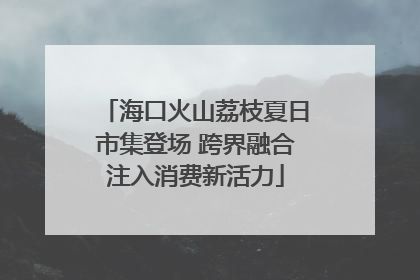 海口火山荔枝夏日市集登场 跨界融合注入消费新活力