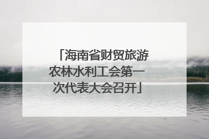 海南省财贸旅游农林水利工会第一次代表大会召开