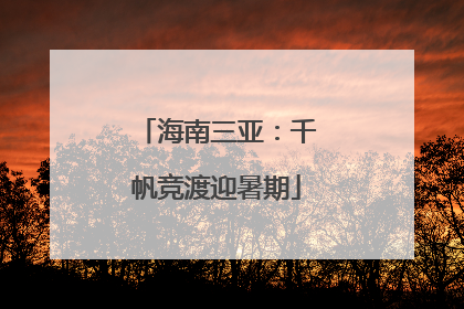 海南三亚：千帆竞渡迎暑期