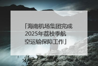 海南机场集团完成2025年荔枝季航空运输保障工作