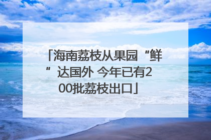 海南荔枝从果园“鲜”达国外 今年已有200批荔枝出口