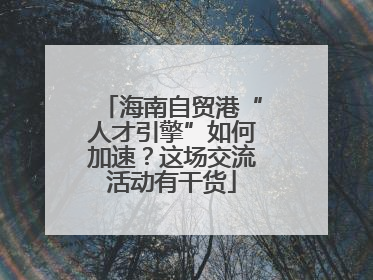 海南自贸港“人才引擎”如何加速？这场交流活动有干货