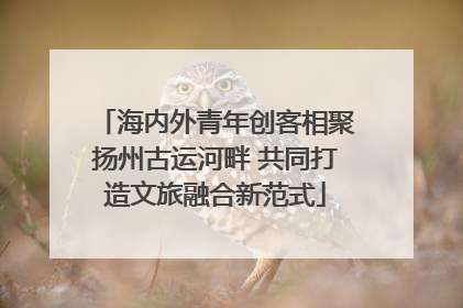 海内外青年创客相聚扬州古运河畔 共同打造文旅融合新范式