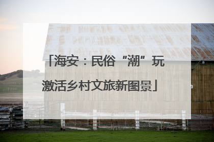 海安：民俗“潮”玩激活乡村文旅新图景