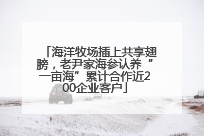 海洋牧场插上共享翅膀，老尹家海参认养“一亩海”累计合作近200企业客户