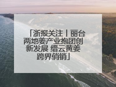 浙报关注丨丽台两地姜产业抱团创新发展 缙云黄姜跨界俏销