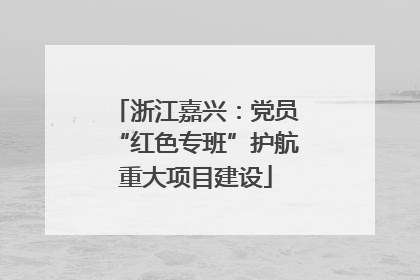 浙江嘉兴：党员“红色专班”护航重大项目建设