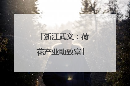 浙江武义：荷花产业助致富