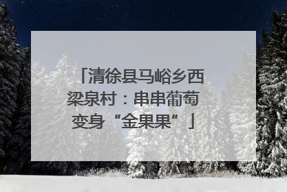 清徐县马峪乡西梁泉村：串串葡萄变身“金果果”