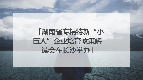 湖南省专精特新“小巨人”企业培育政策解读会在长沙举办