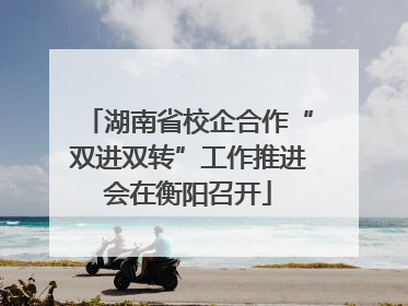 湖南省校企合作“双进双转”工作推进会在衡阳召开