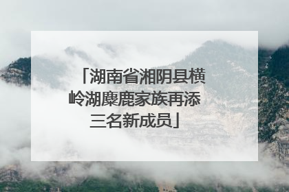 湖南省湘阴县横岭湖麋鹿家族再添三名新成员