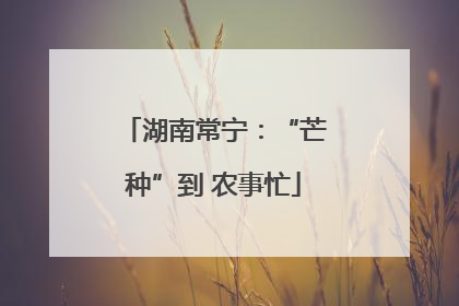 湖南常宁：“芒种”到 农事忙