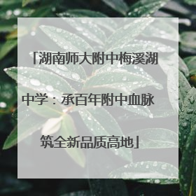 湖南师大附中梅溪湖中学：承百年附中血脉 筑全新品质高地