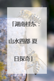 湖南桂东：山水四都 夏日探奇
