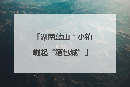 湖南蓝山：小镇崛起“箱包城”