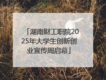 湖南财工职院2025年大学生创新创业宣传周启幕