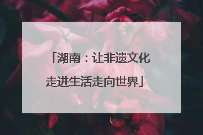 湖南：让非遗文化走进生活走向世界