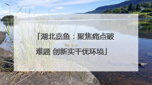湖北嘉鱼：聚焦痛点破难题 创新实干优环境