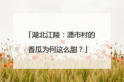 湖北江陵：潘市村的香瓜为何这么甜？
