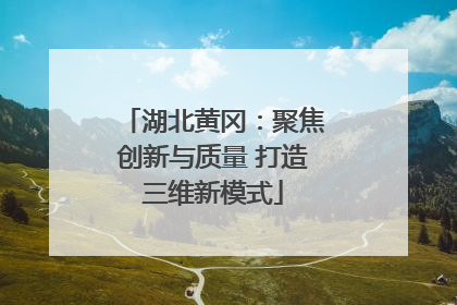 湖北黄冈：聚焦创新与质量 打造三维新模式