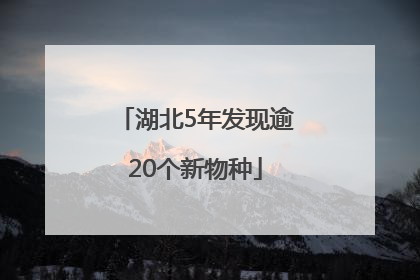 湖北5年发现逾20个新物种