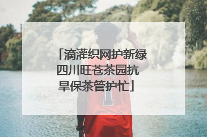滴灌织网护新绿 四川旺苍茶园抗旱保茶管护忙