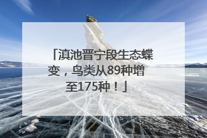 滇池晋宁段生态蝶变，鸟类从89种增至175种！