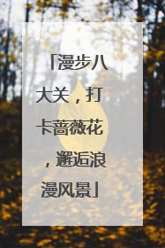 漫步八大关，打卡蔷薇花，邂逅浪漫风景