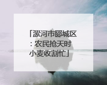 漯河市郾城区：农民抢天时 小麦收割忙