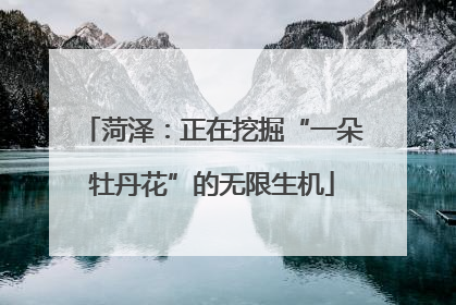菏泽：正在挖掘“一朵牡丹花”的无限生机
