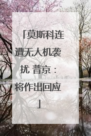 莫斯科连遭无人机袭扰 普京：将作出回应