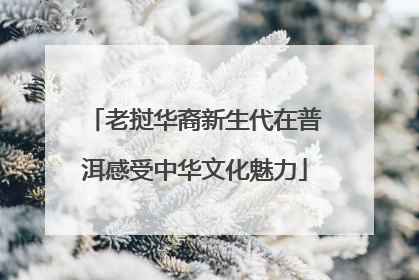 老挝华裔新生代在普洱感受中华文化魅力