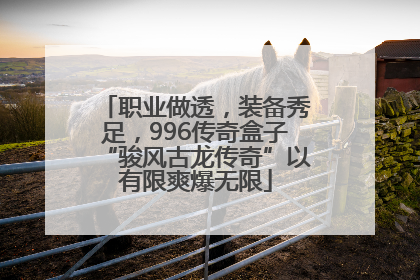职业做透，装备秀足，996传奇盒子“骏风古龙传奇”以有限爽爆无限