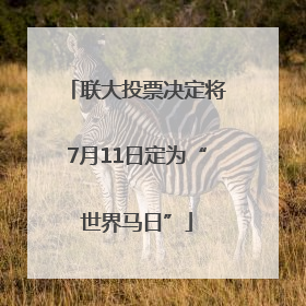 联大投票决定将7月11日定为“世界马日”