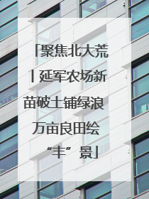 聚焦北大荒丨延军农场新苗破土铺绿浪 万亩良田绘“丰”景