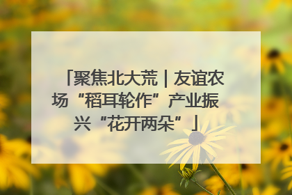 聚焦北大荒｜友谊农场“稻耳轮作”产业振兴“花开两朵”